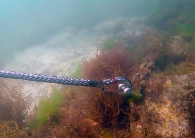 Lignes de mouillage innovantes : le point après deux ans d’utilisation