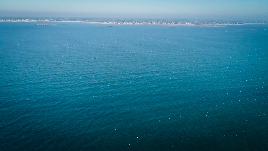 vue aerienne des lignes de mouillages innovants ino-orpe