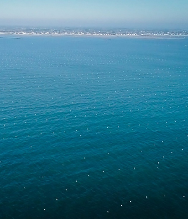 photo du parc de culture d'algues Algolesko lignes d'aquaculture