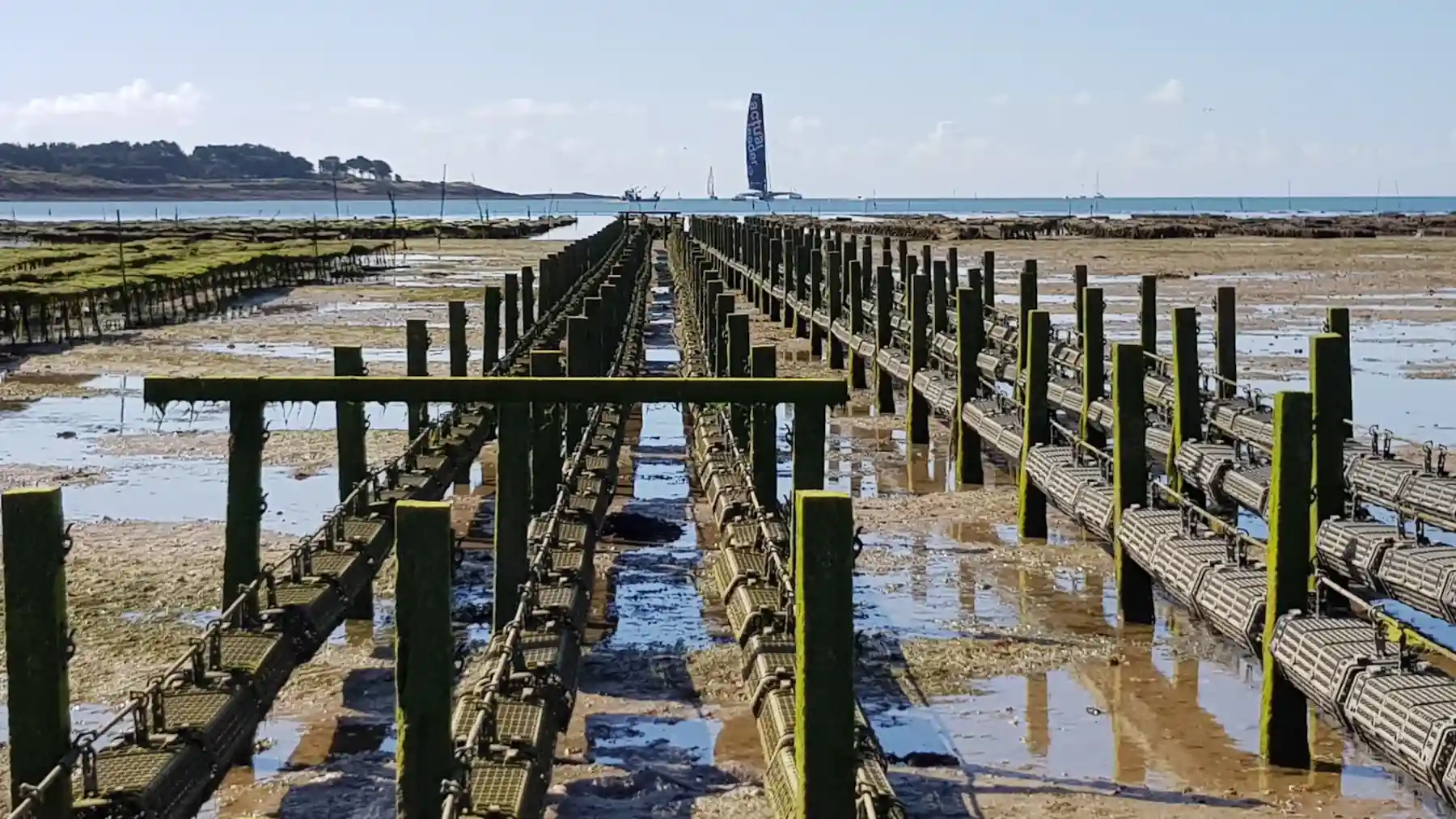 Tendeur à casier ostréicole